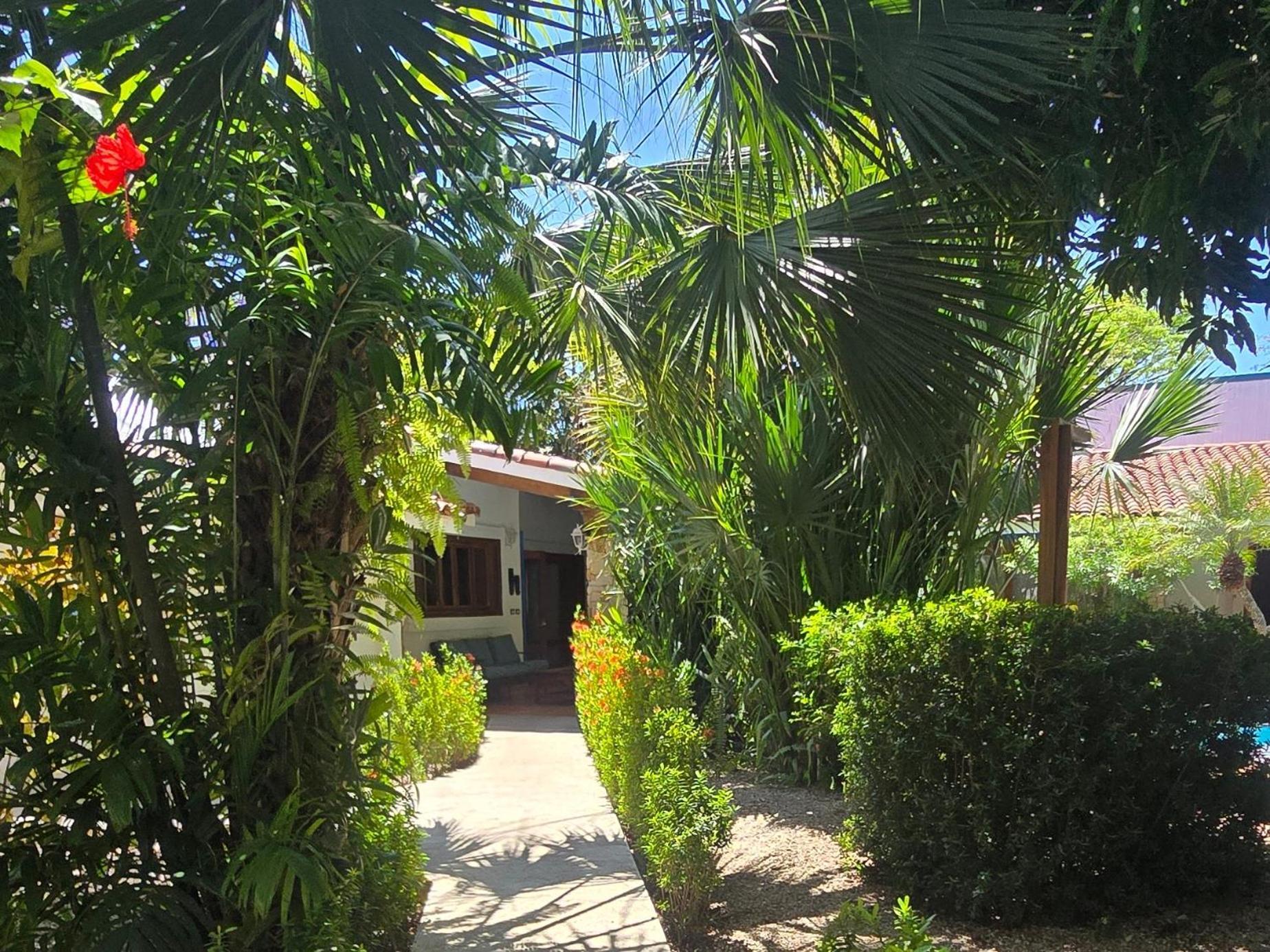 Villas Kalimba Samara Exterior photo